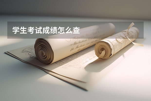 学生考试成绩怎么查