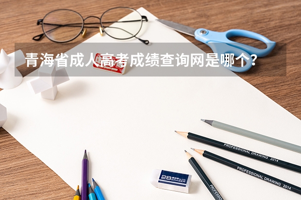 青海省成人高考成绩查询网是哪个？