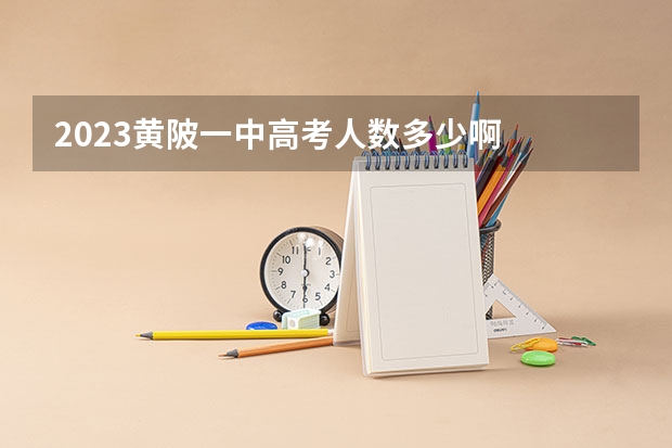 2023黄陂一中高考人数多少啊