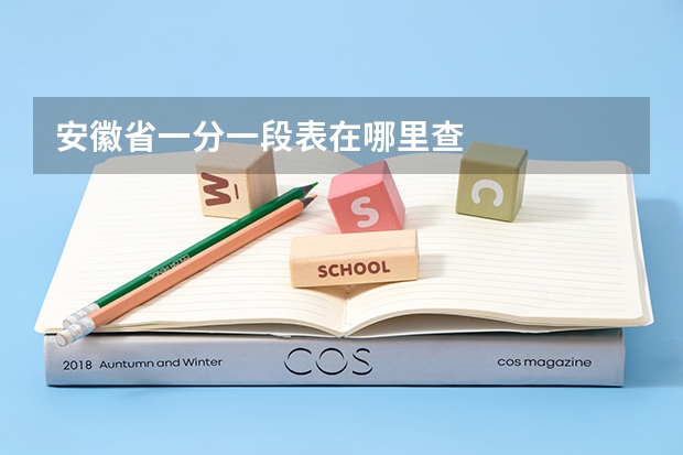 安徽省一分一段表在哪里查