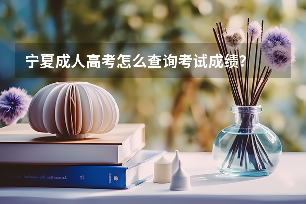 宁夏成人高考怎么查询考试成绩？