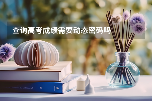 查询高考成绩需要动态密码吗