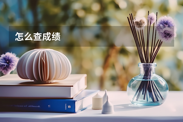 怎么查成绩