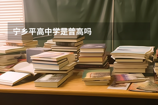 宁乡平高中学是普高吗