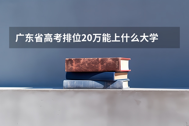 广东省高考排位20万能上什么大学
