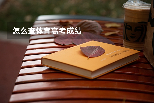 怎么查体育高考成绩