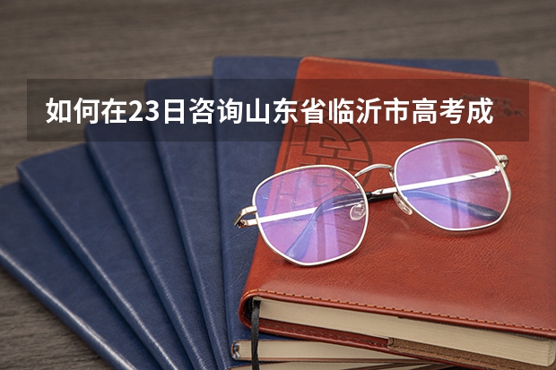 ·如何在23日咨询山东省临沂市高考成绩