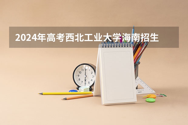 2024年高考西北工业大学海南招生计划