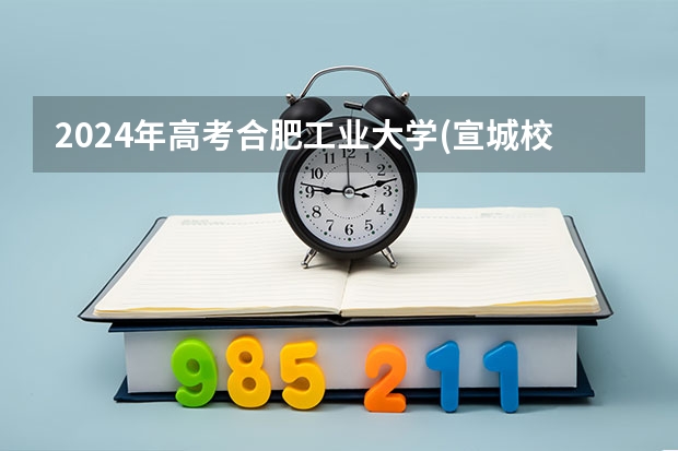 2024年高考合肥工业大学(宣城校区)海南招生计划