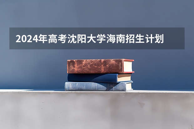 2024年高考沈阳大学海南招生计划