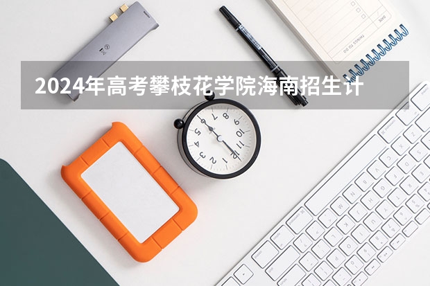 2024年高考攀枝花学院海南招生计划