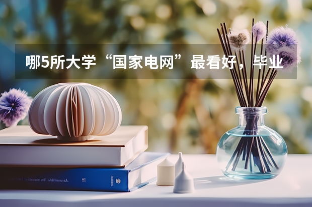 哪5所大学“国家电网”最看好，毕业生很抢手，考上就是铁饭碗？ 东北电力大学机械考研分数线