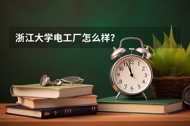 浙江大学电工厂怎么样？