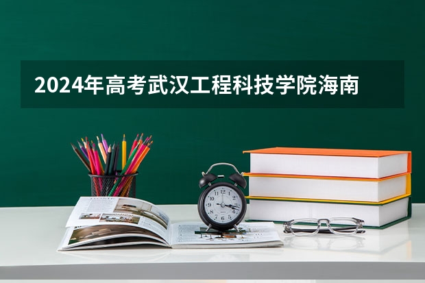 2024年高考武汉工程科技学院海南招生计划