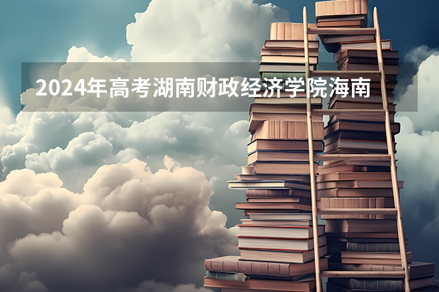 2024年高考湖南财政经济学院海南招生计划
