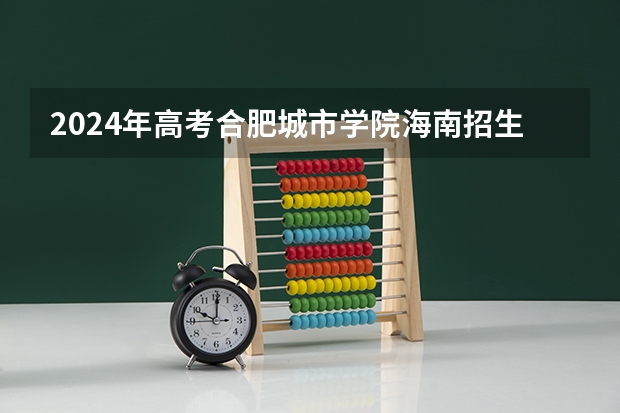 2024年高考合肥城市学院海南招生计划