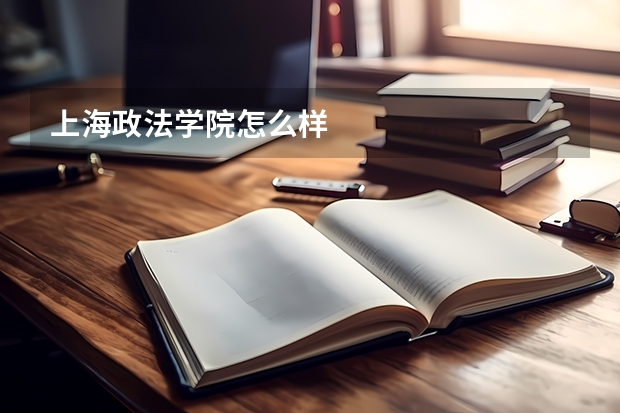 上海政法学院怎么样