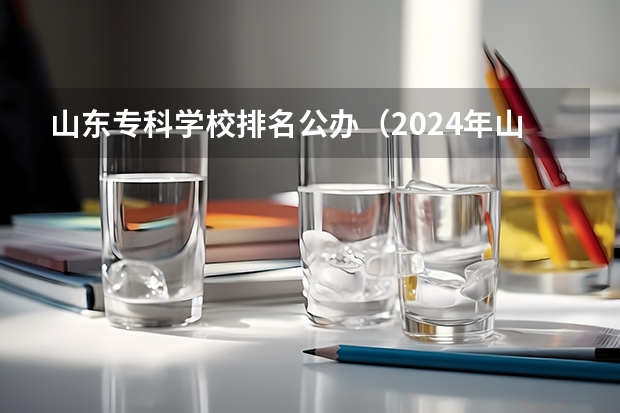 山东专科学校排名公办（2024年山东省高职院校排名）