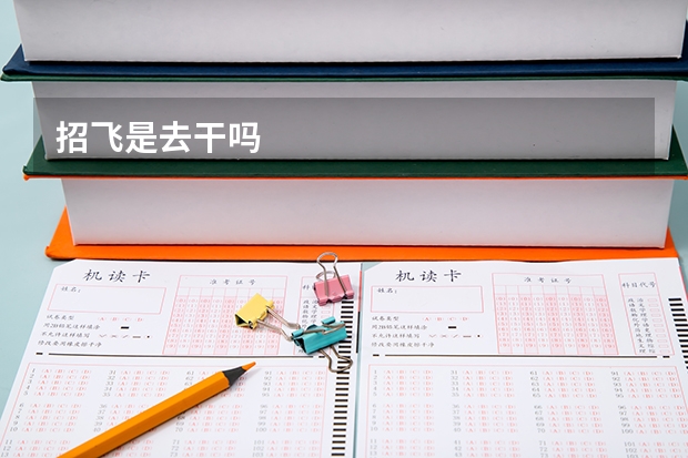 招飞是去干吗