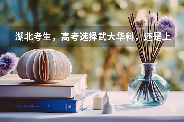 湖北考生，高考选择武大华科，还是上海北京的大学？（09年湖北高考录取分数线）