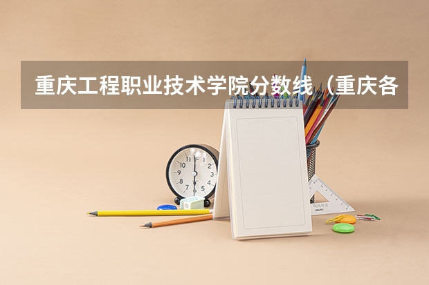 重庆工程职业技术学院分数线（重庆各个大学分数线）