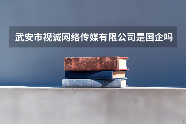 武安市视诚网络传媒有限公司是国企吗？