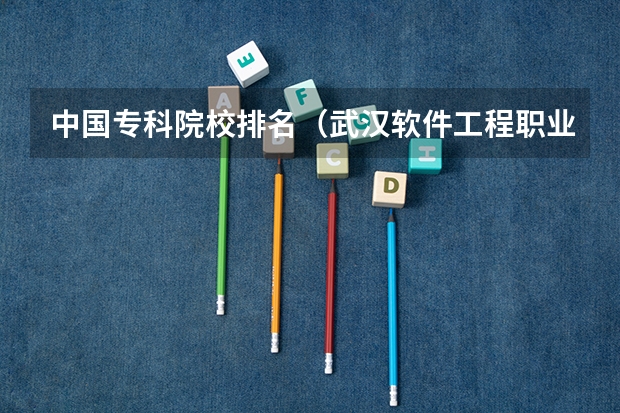 中国专科院校排名(武汉软件工程职业学院王牌专业排名一览表)