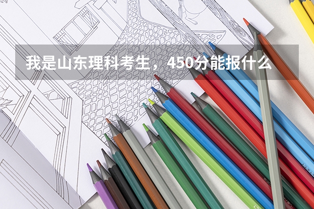 我是山东理科考生，450分能报什么学校