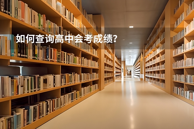 如何查询高中会考成绩？
