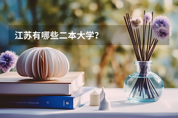 江苏有哪些二本大学？