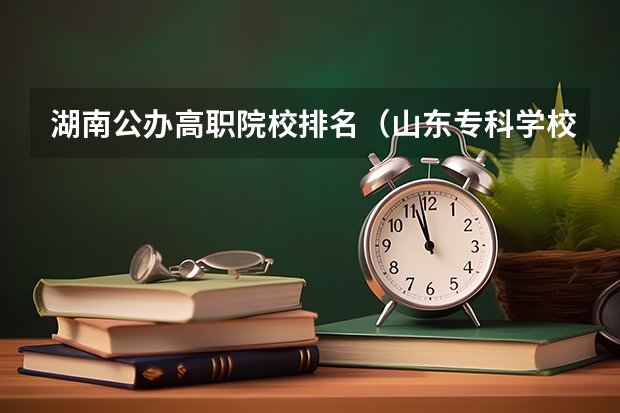 湖南公办高职院校排名（山东专科学校排名公办）