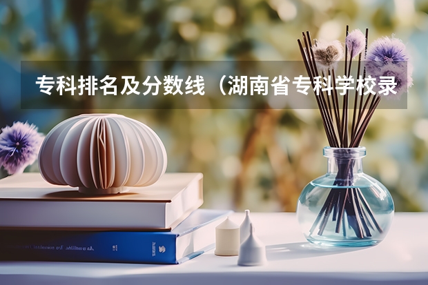 专科排名及分数线（湖南省专科学校录取分数线排名）
