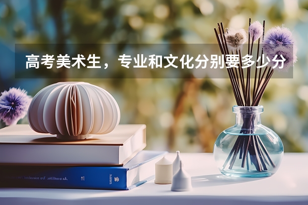 高考美术生，专业和文化分别要多少分才能进读二本大学？