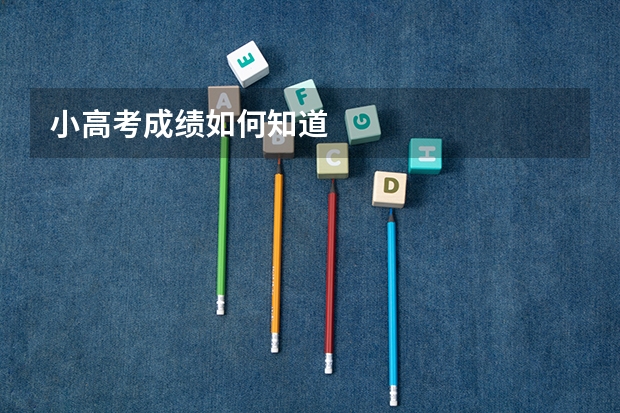 小高考成绩如何知道