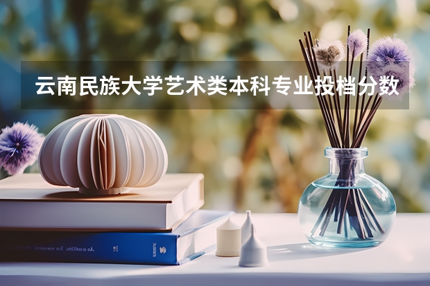 云南民族大学艺术类本科专业投档分数线 2023年本科批艺术类投档分数线