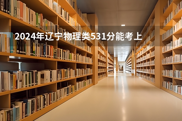 2024年辽宁物理类531分能考上什么大学？