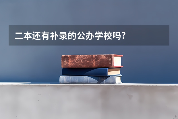二本还有补录的公办学校吗?