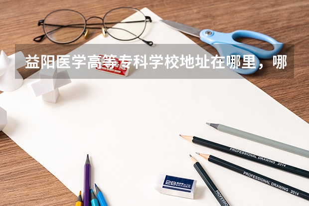 益阳医学高等专科学校地址在哪里，哪个城市，哪个区？