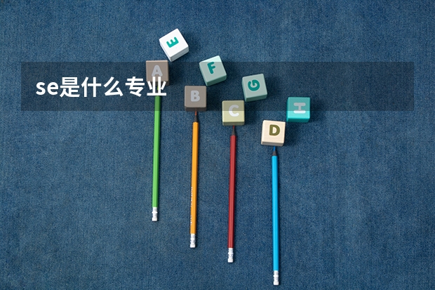 se是什么专业