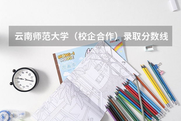 云南师范大学（校企合作）录取分数线是多少