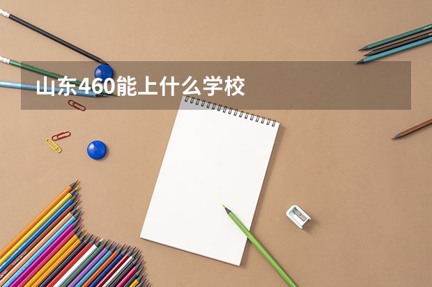 山东460能上什么学校