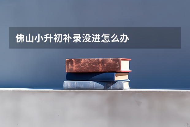 佛山小升初补录没进怎么办