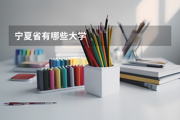 宁夏省有哪些大学