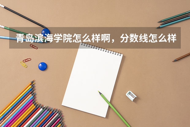 青岛滨海学院怎么样啊，分数线怎么样，就业率怎么样