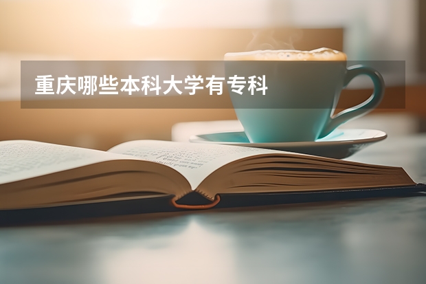 重庆哪些本科大学有专科