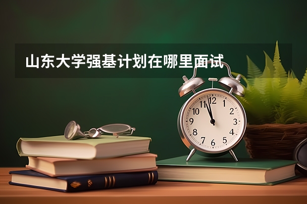 山东大学强基计划在哪里面试