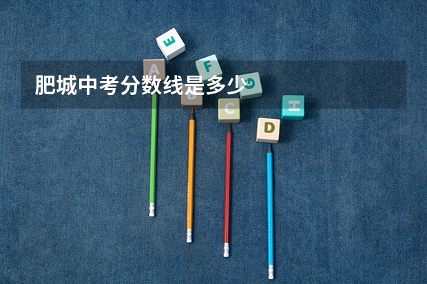 肥城中考分数线是多少