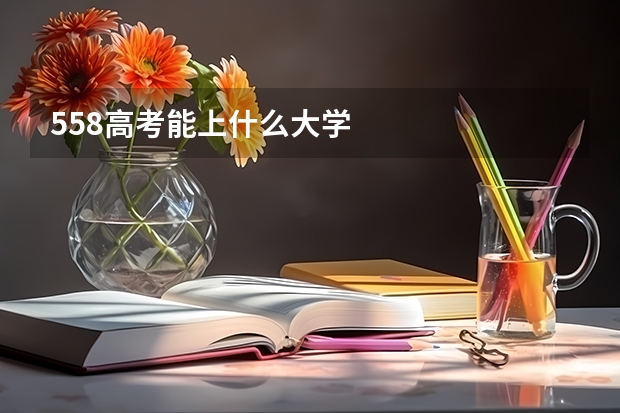 558高考能上什么大学