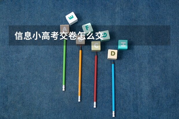 信息小高考交卷怎么交