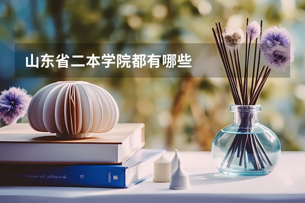 山东省二本学院都有哪些
